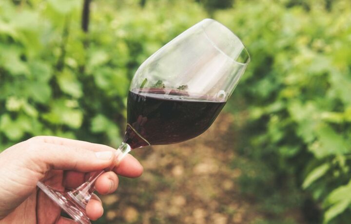 Quel vin de Bourgogne avec le gibier ? Nos accords pour l’automne