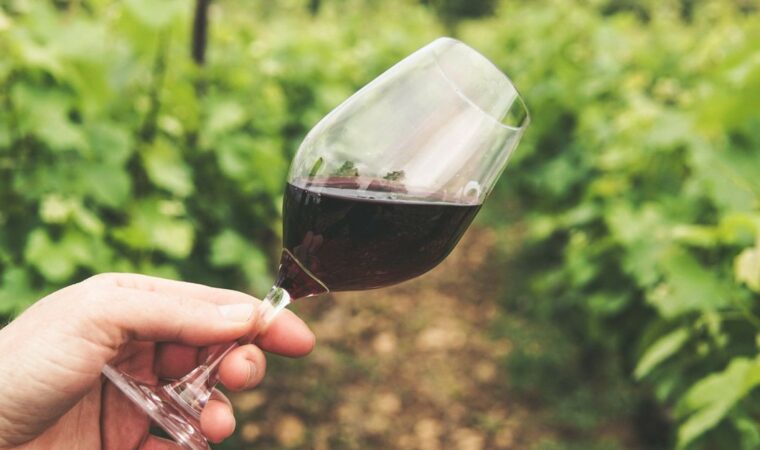 Quel vin de Bourgogne avec le gibier ? Nos accords pour l&rsquo;automne