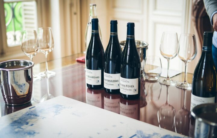 Chambolle-Musigny : le guide complet de l’appellation bourguignonne