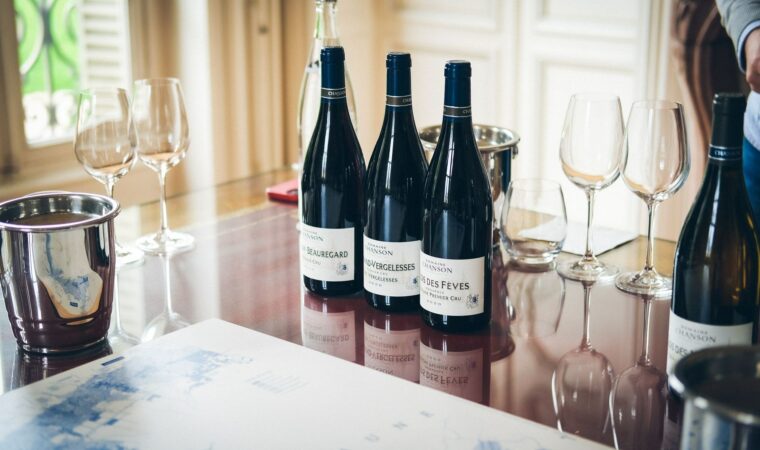 Chambolle-Musigny : le guide complet de l&rsquo;appellation bourguignonne