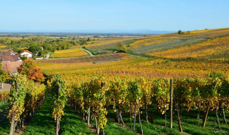 Un week-end dans les vignes de Bourgogne : où dormir autrement
